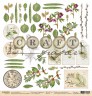 Набор бумаги 20*20 cм из коллекции "Гербарий", 8 листов (Craft Paper) 