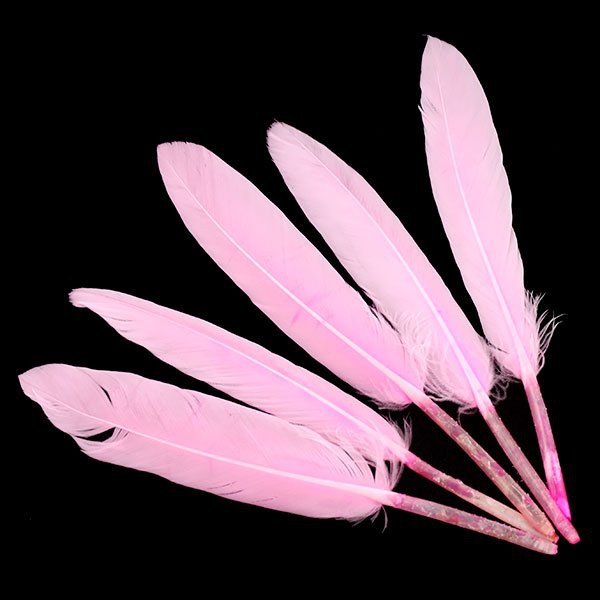 Перо декоративное, 5 штук, цвет Розовый