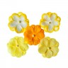 Набор двуслойных цветочков Анютины глазки, 5 шт., цвет Желтый (Scrapberry's)