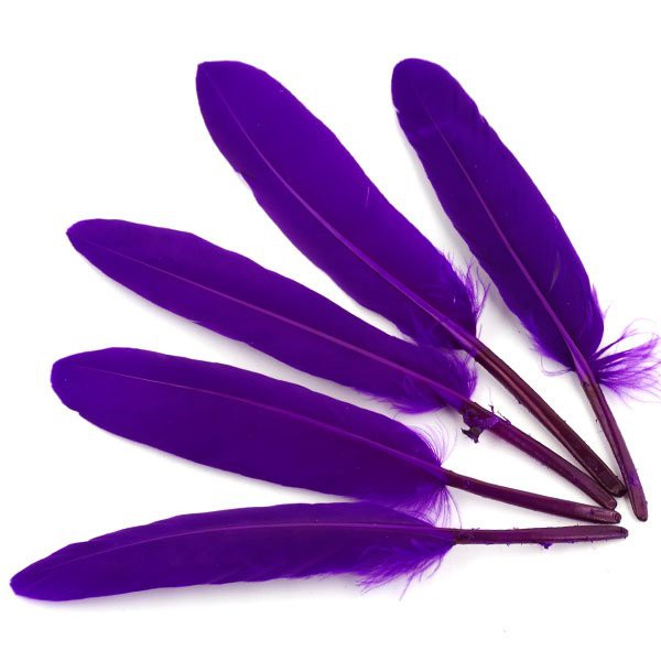 Перо декоративное, 5 штук, цвет Фиолетовый
