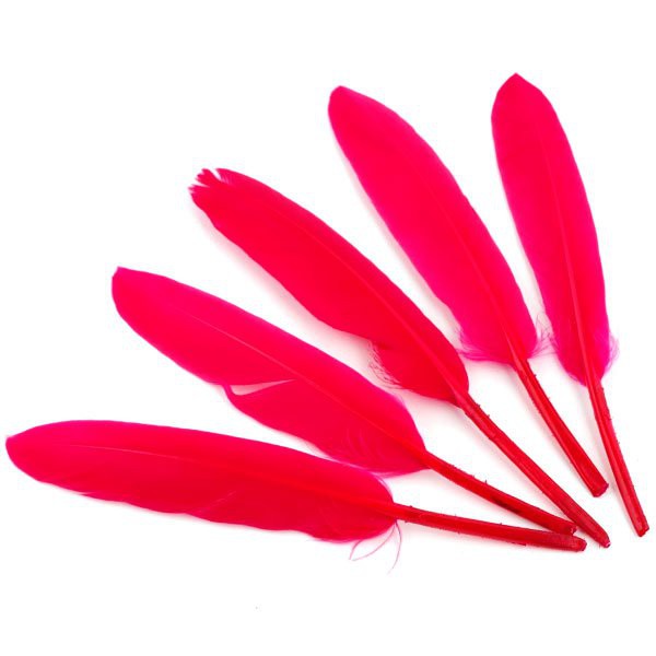 Перо декоративное, 5 штук, цвет Малиновый