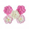 Набор двуслойных цветочков Анютины глазки, 5 шт., цвет Розовый (Scrapberry's)