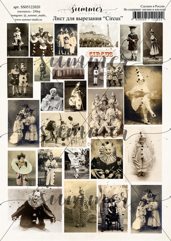 Лист бумаги Карточки для вырезания А4 "Circus", плотность 250гр  (Summer Studio, Россия)  