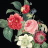 Бумага из коллекции In Bloom Bouquet (My Mind's Eye)  