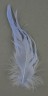 Перья декоративные 5-10 см, 5 г,  цвет Голубой (Rayher)  