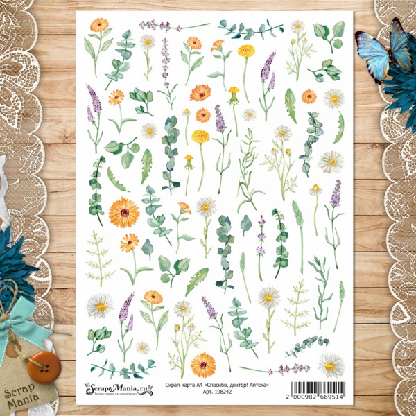 Скрап-карта из коллекции "Спасибо, доктор!" Аптека, А4 (ScrapMania)