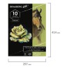 Альбом для пастели, картон Чёрный+Оливковый, 630 г/м2, 297x414 мм (формат А3), 5+5 листов (Brauberg)