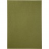 Кардсток тисненый "Рептилия" двусторонний, 250 г/м2, цвет Лайм/Темно-зеленый, формат А4 (Creativ)