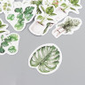 Набор декоративных бумажных наклеек "Комнатные растения", 45 штук (Китай)