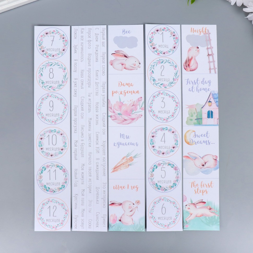 Набор полос с карточками из коллекции "Sweet bunny" АНГЛ+РУС (Фабрика декору, Украина)