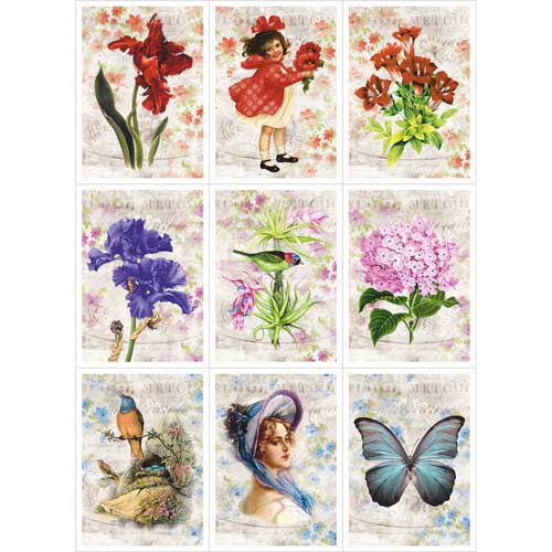 Скрап-карта "Яркие моменты", Карточки, А4 (ScrapMania)