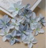 Набор цветов "Гортензии дуболистные", цвет Голубой, 12 шт.  (Pastel Flowers)  