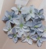 Набор цветов "Гортензии дуболистные", цвет Голубой, 12 шт.  (Pastel Flowers)  