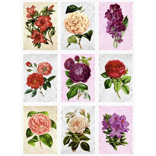 Скрап-карта "Оранжерея", Карточки, А4 (ScrapMania)