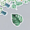 Набор декоративных бумажных наклеек "Домашние растения", 46 штук (Китай)