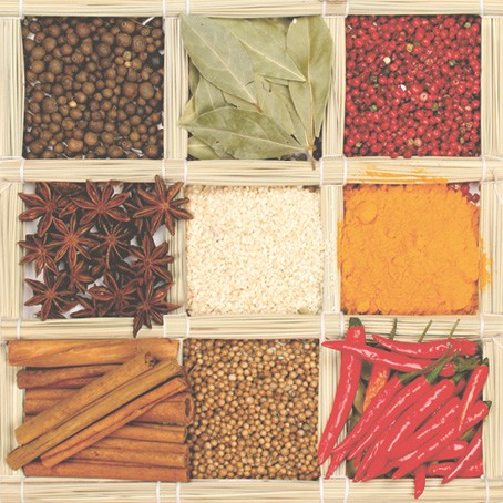 Салфетка 33*33 см из коллекции "Ланч каждый день" Специи Ассорти, 1 штука (Maki)