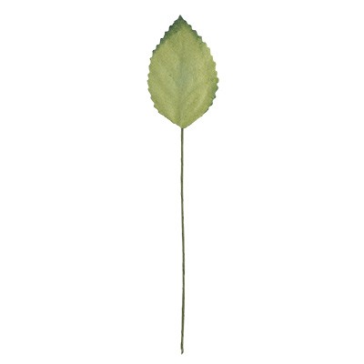 Декоративные элементы "Листья роз" 2,3*3,7 см, 12 штук (Mr.Painter)