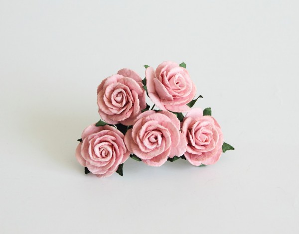Роза средняя, цвет Розово-персиковый, 25 мм, 5 штук