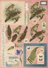 Набор бумаги и листов с высечками "Птицы" из коллекции "Nature's Gallery" (Papermania) 