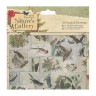 Набор заготовок для открыток с конвертами А6, 6 комплектов (1/2 полного набора) из коллекции "Nature's Gallery" (Papermania)  