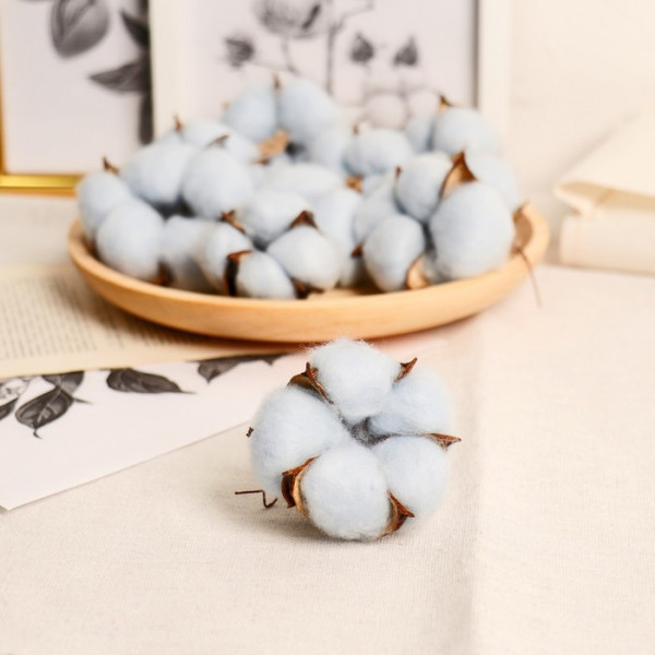 Коробочки хлопка, цвет Голубой, 1 шт.