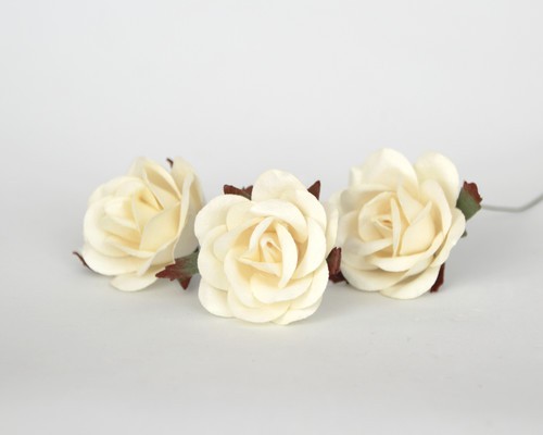 Коттеджная роза средняя, цвет Молочный, 40-50 мм, 1 штука