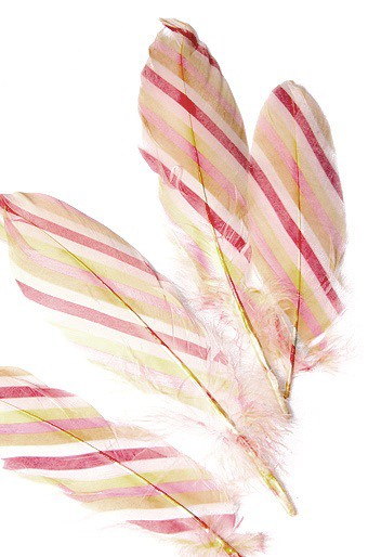 Перо декоративное с принтом, 1 шт, Радужная диагональ