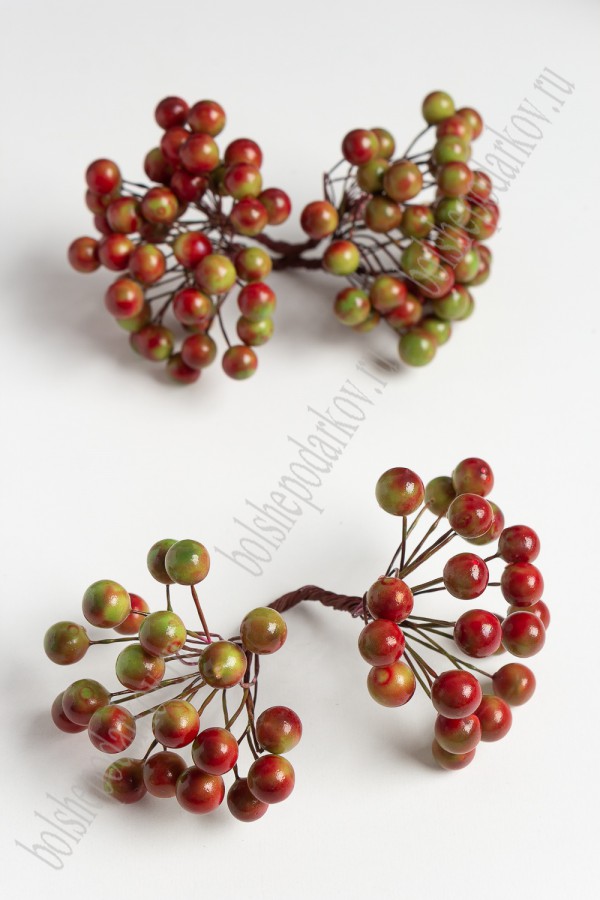 Веточка с ягодками, букет 20 стеблей, цвет Зелено-красный