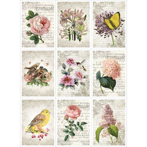 Скрап-карта "Летнее настроение", Карточки, А4 (ScrapMania)