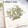 Нож для вырубки надписи "Еловый лес. Ветки хвои" (Scrapmania, Россия)