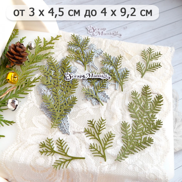 Нож для вырубки надписи "Еловый лес. Ветки хвои" (Scrapmania, Россия)