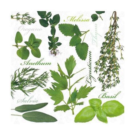 Салфетка 33*33 см "Herbal Taste", 1 штука (Paw Decor Collection)  