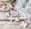 Набор цветов "Гортензия дуболистная", цвет Нежно-розово-белый, 12 шт. (Pastel Flowers)   