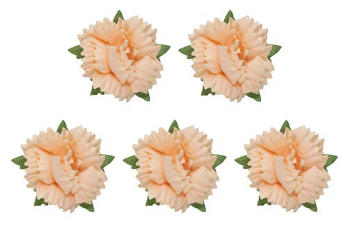 Цветы гвоздики, цвет Персиковый, набор 5 шт. (Scrapberry's)