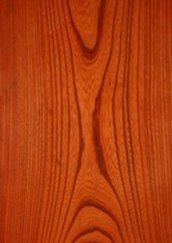 Бейц-морилка на водной основе, 30 мл, цвет Орех (MyHobbyPoint, Россия)