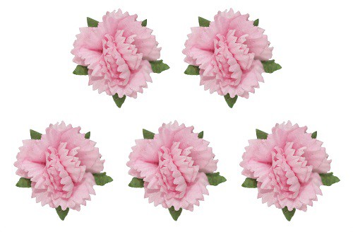 Цветы гвоздики, цвет Нежно-Розовый, набор 5 шт. (Scrapberry's)