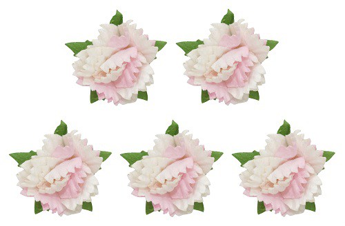 Цветы гвоздики, цвет Бело-Розовый, набор 5 шт. (Scrapberry's)